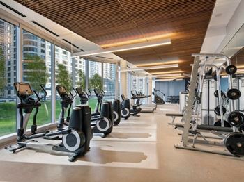 Vitality fitness hub